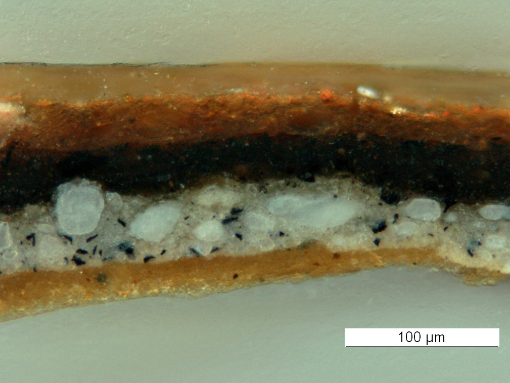 Ansicht eines Querschliffes von einer Bildschicht
