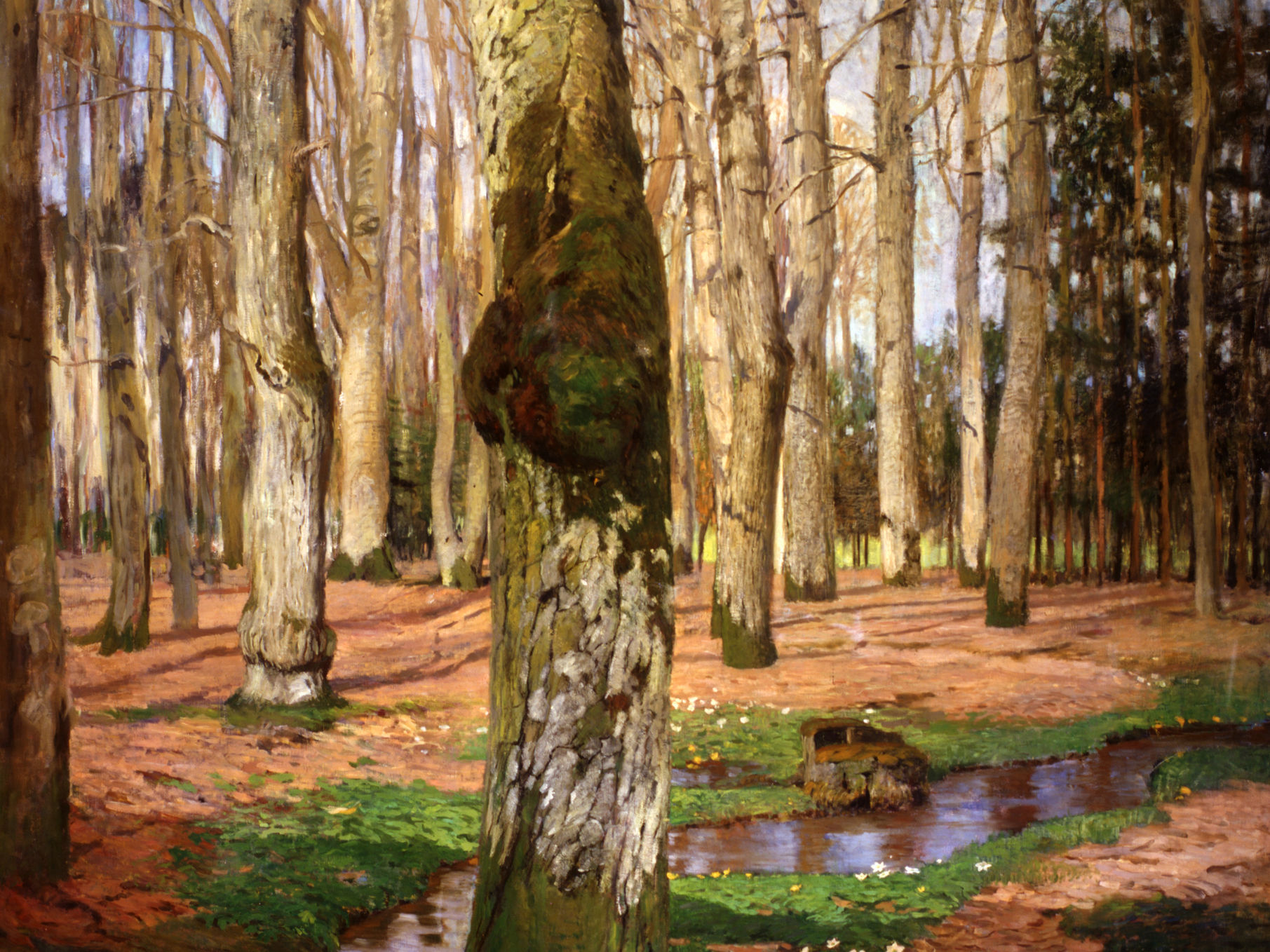 Waldlandschaft mit fließendem Wasser