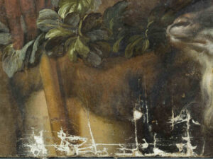 Portfolio 13 Gemälde Bacchus, Detail Unterseite, nach Abnahme von Firnis, alten Übermalungen und Kittungen